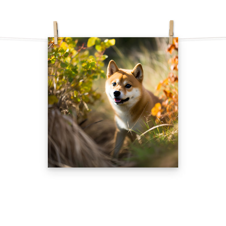 Shiba Inu Photo paper poster - PosterfyAI.com