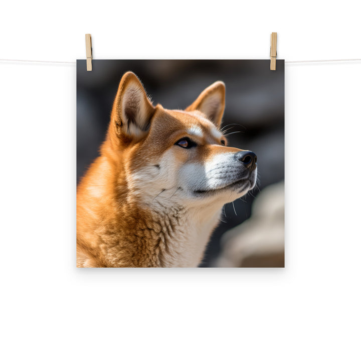 Shiba Inu Photo paper poster - PosterfyAI.com