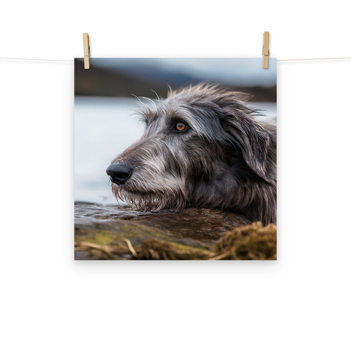 Scottish Deerhound Photo paper poster - PosterfyAI.com