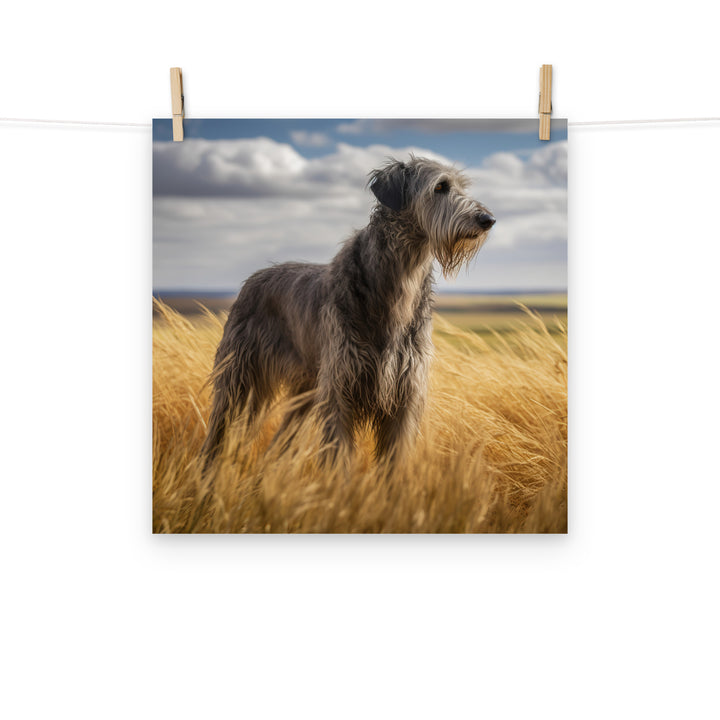 Scottish Deerhound Photo paper poster - PosterfyAI.com