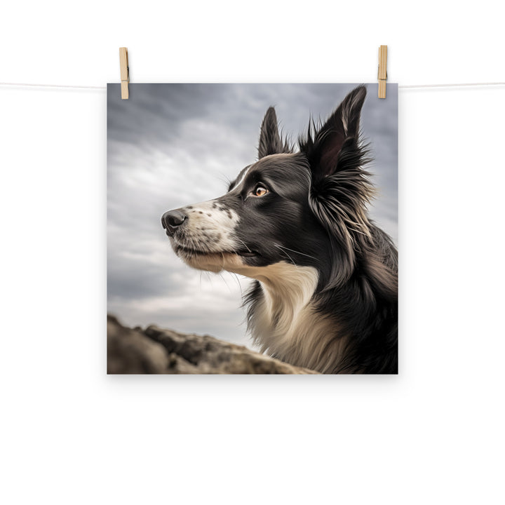 Border Collie Photo paper poster - PosterfyAI.com