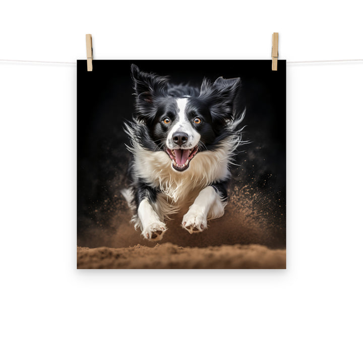 Border Collie Photo paper poster - PosterfyAI.com