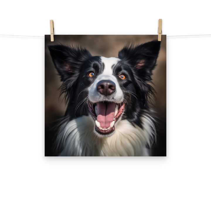 Border Collie Photo paper poster - PosterfyAI.com