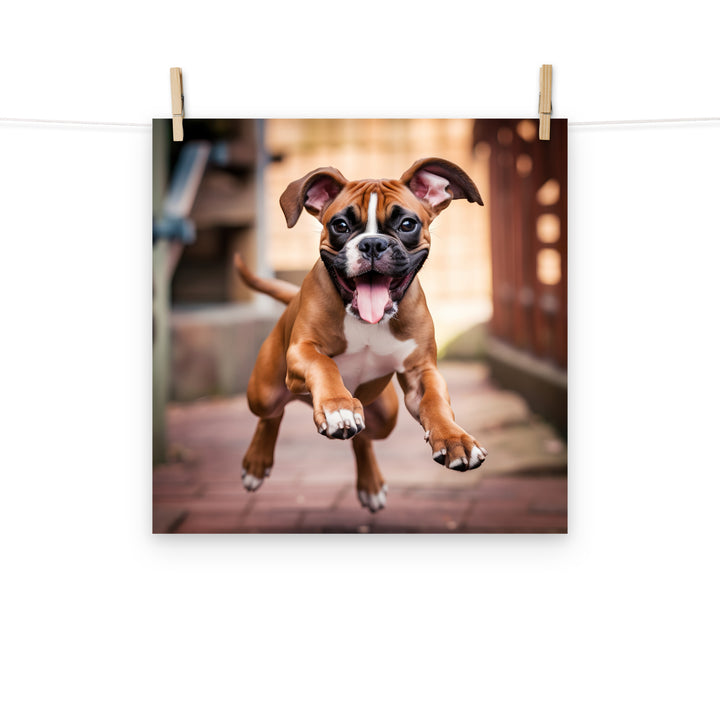 Boxer Photo paper poster - PosterfyAI.com