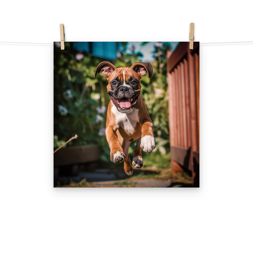 Boxer Photo paper poster - PosterfyAI.com