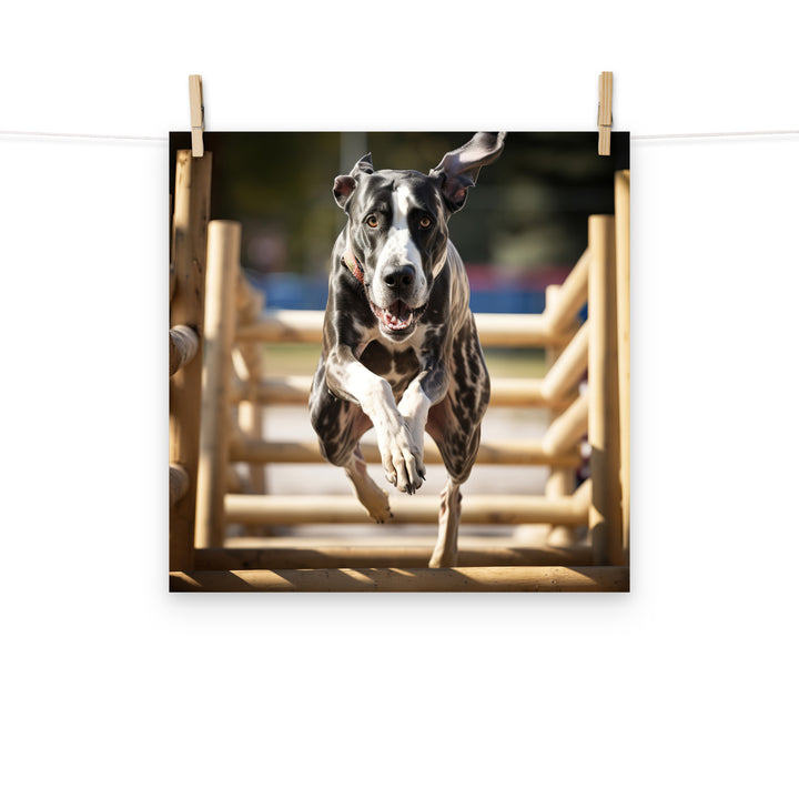 Great Dane Photo paper poster - PosterfyAI.com