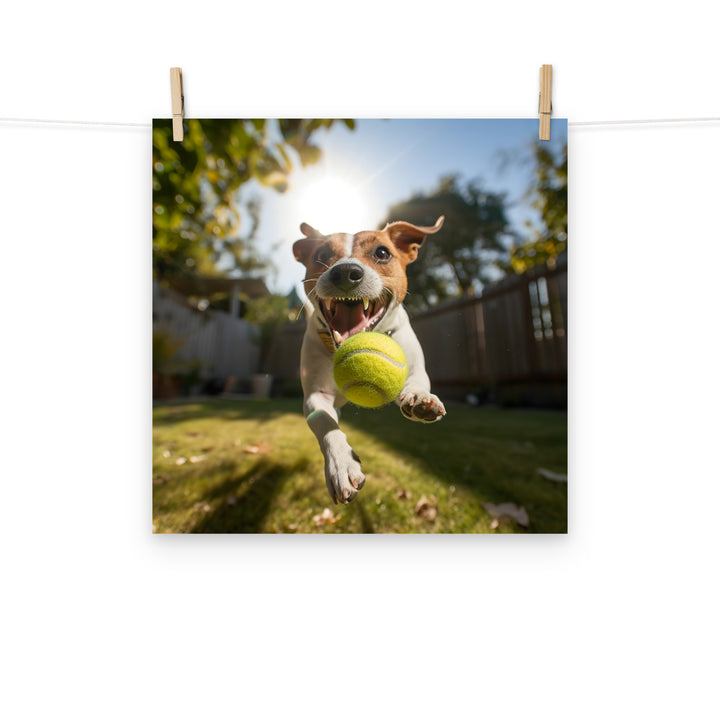 Jack Russell Terrier Photo paper poster - PosterfyAI.com