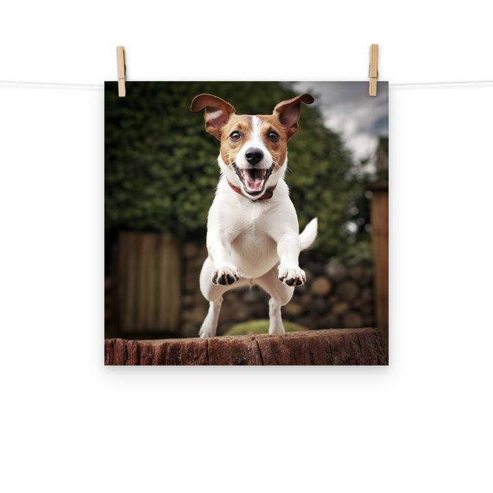 Jack Russell Terrier Photo paper poster - PosterfyAI.com