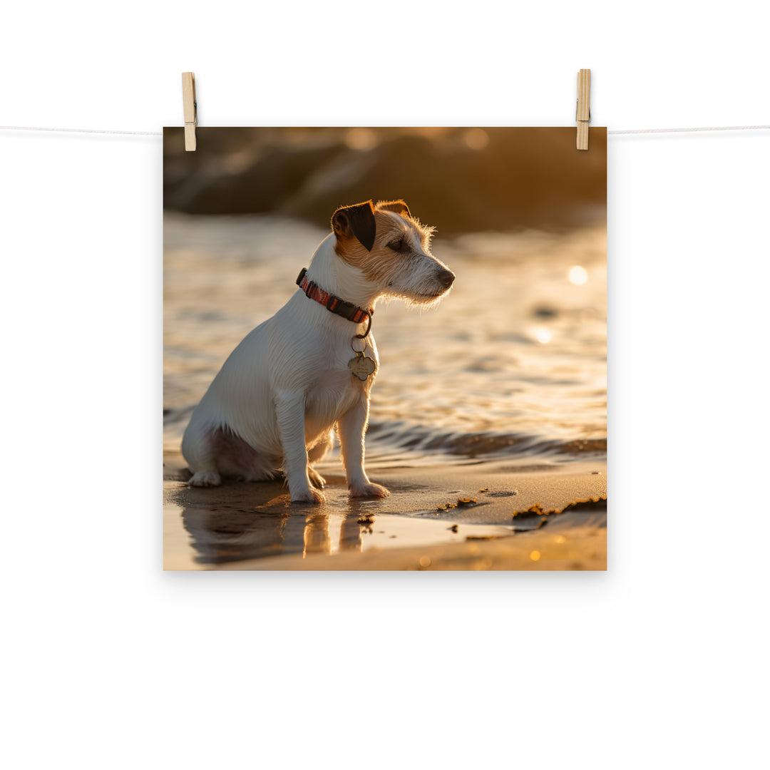 Jack Russell Terrier Photo paper poster - PosterfyAI.com