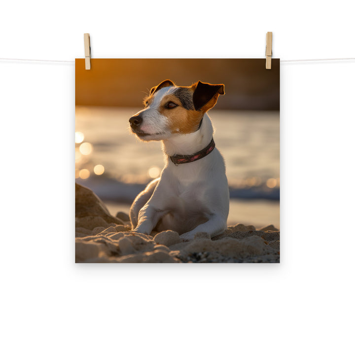 Jack Russell Terrier Photo paper poster - PosterfyAI.com