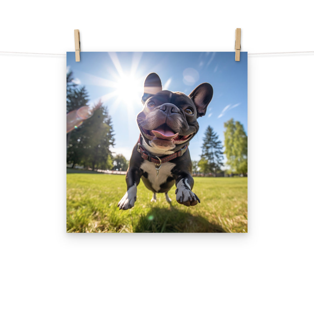 French Bulldog Photo paper poster - PosterfyAI.com