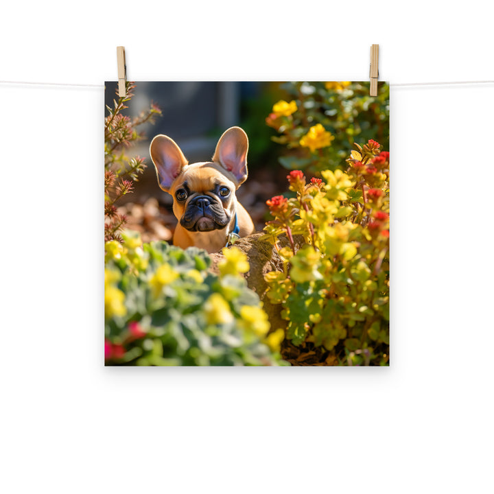 French Bulldog Photo paper poster - PosterfyAI.com