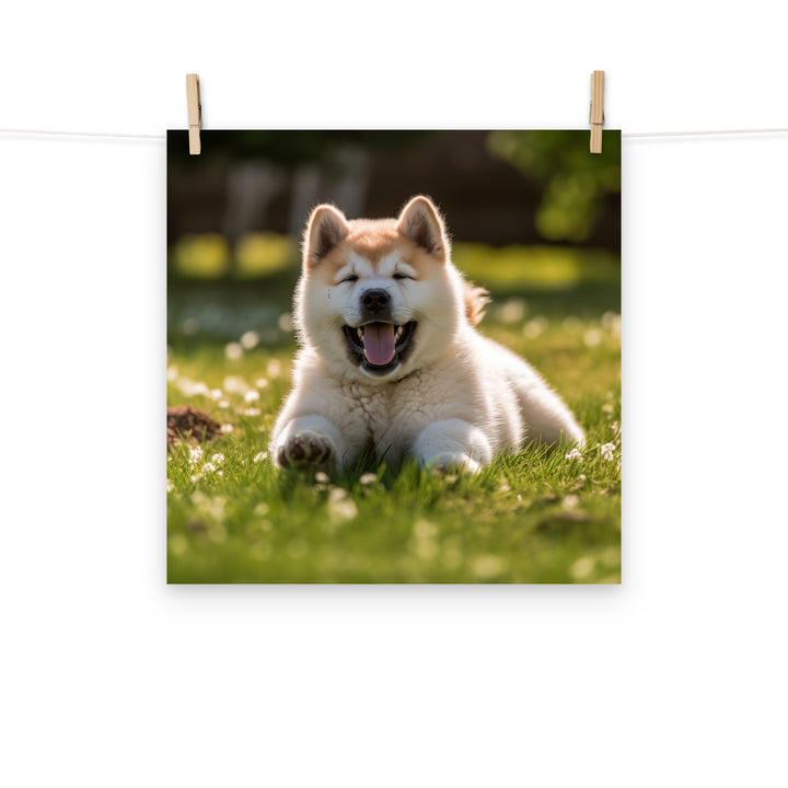 Akita Photo paper poster - PosterfyAI.com