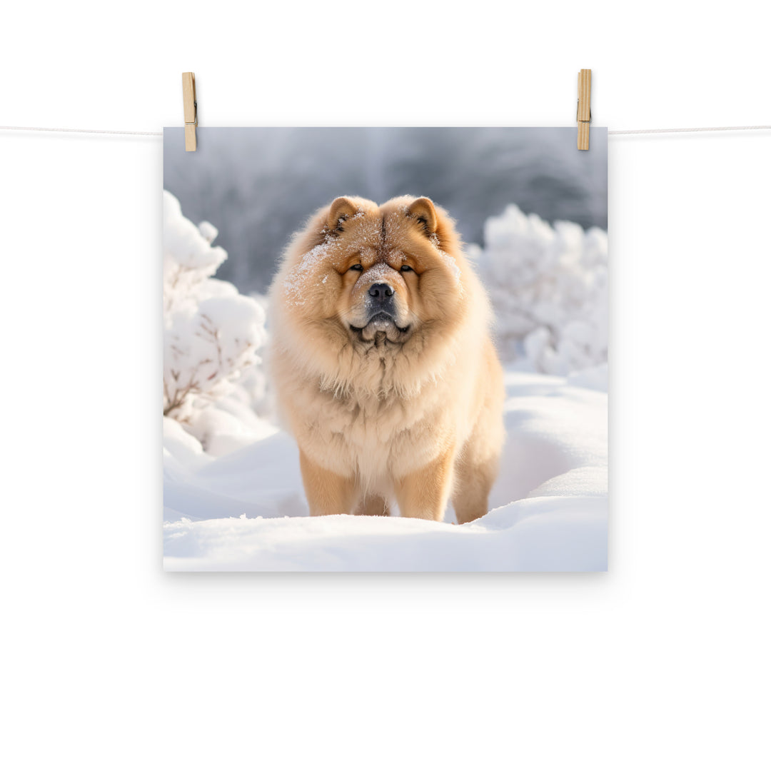 Chow Chow Photo paper poster - PosterfyAI.com