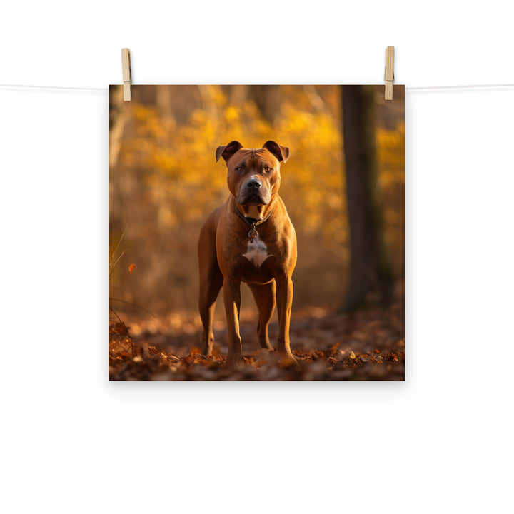 American Staffordshire Terrier Photo paper poster - PosterfyAI.com