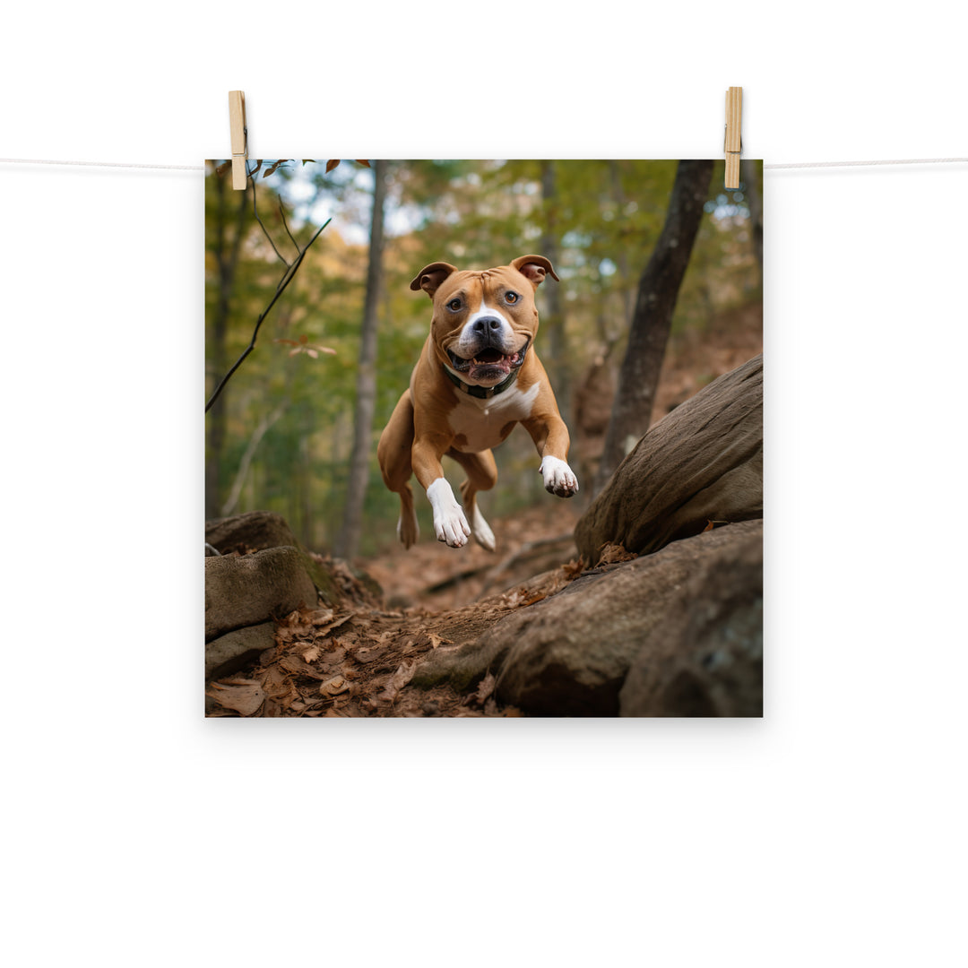 American Staffordshire Terrier Photo paper poster - PosterfyAI.com