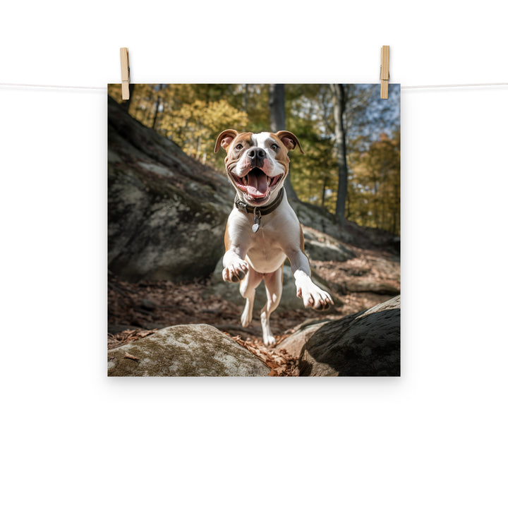 American Staffordshire Terrier Photo paper poster - PosterfyAI.com