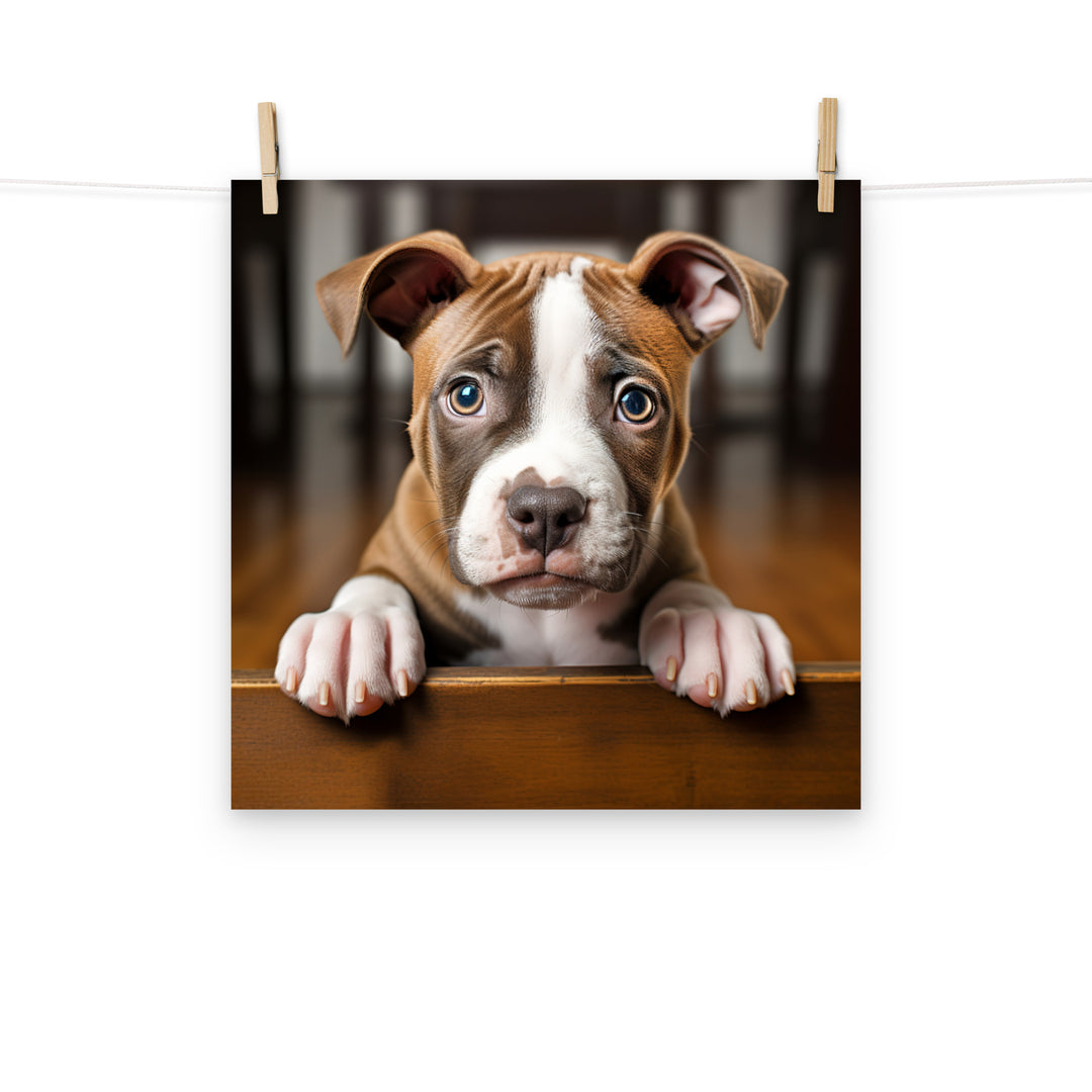 American Staffordshire Terrier Photo paper poster - PosterfyAI.com