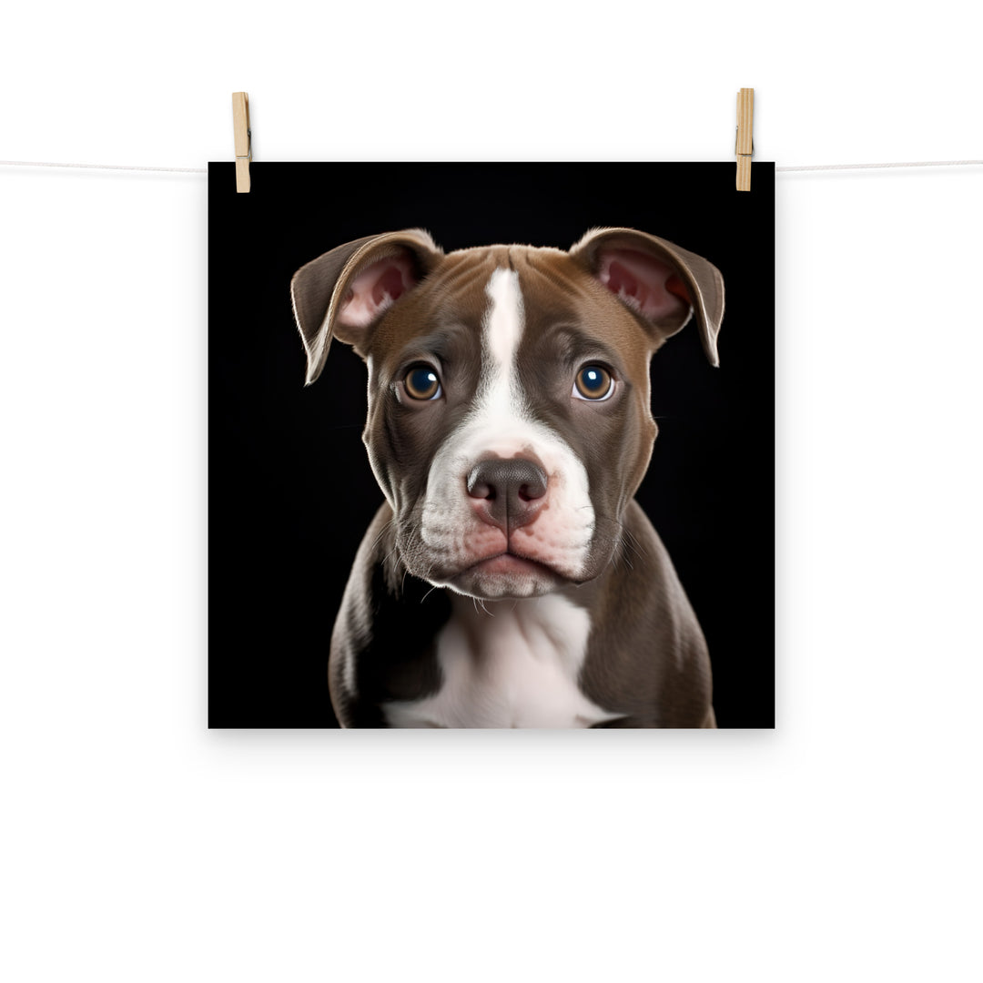 American Staffordshire Terrier Photo paper poster - PosterfyAI.com