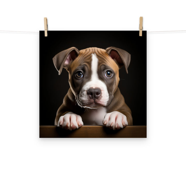 American Staffordshire Terrier Photo paper poster - PosterfyAI.com