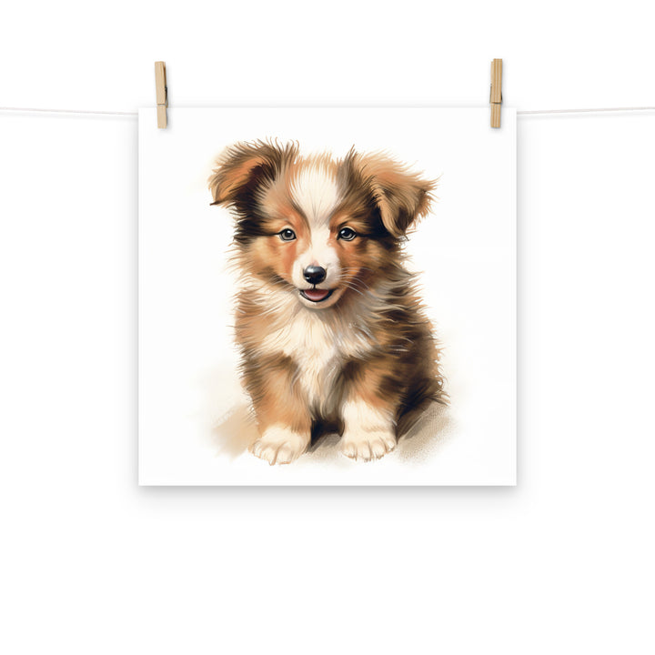 Shetland Sheepdog Photo paper poster - PosterfyAI.com