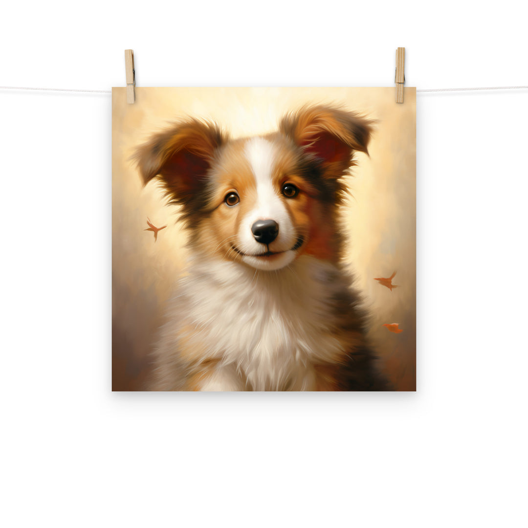 Shetland Sheepdog Photo paper poster - PosterfyAI.com