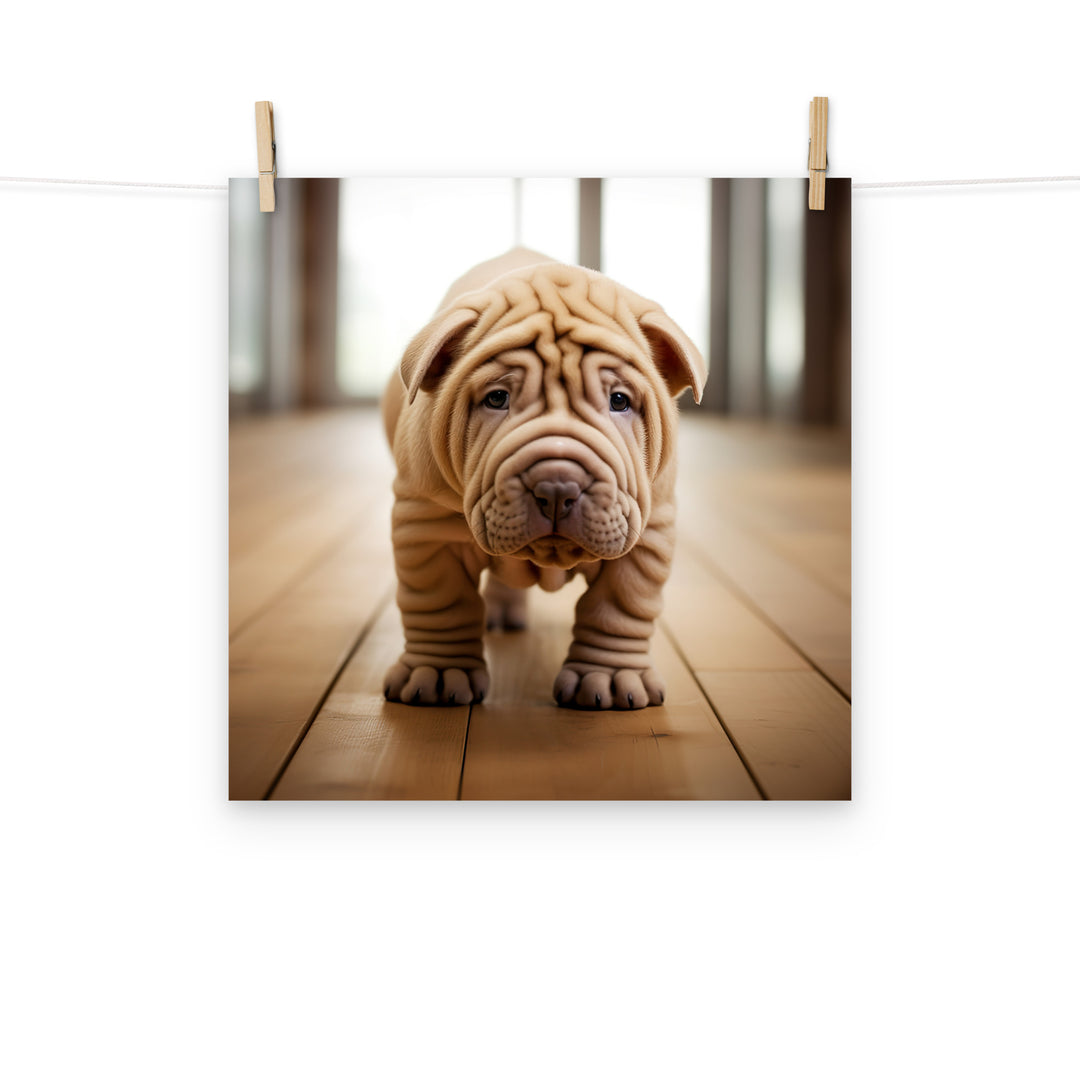 Shar Pei Photo paper poster - PosterfyAI.com