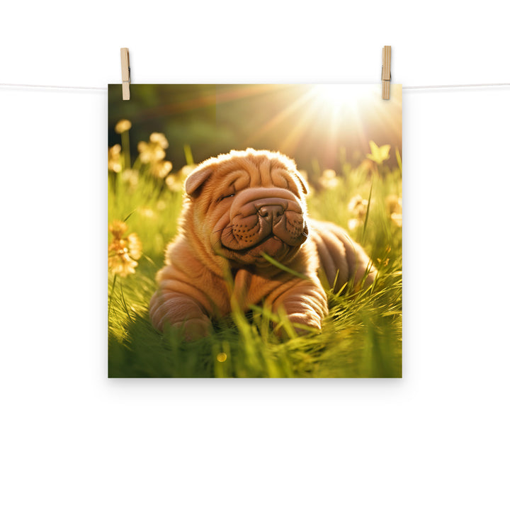 Shar Pei Photo paper poster - PosterfyAI.com