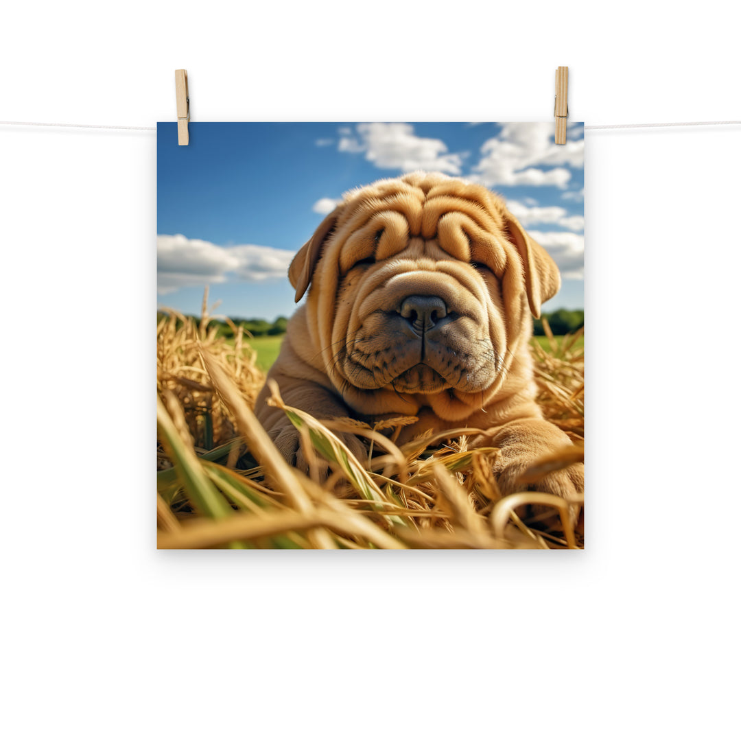 Shar Pei Photo paper poster - PosterfyAI.com