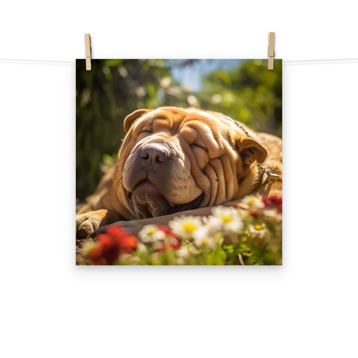 Shar Pei Photo paper poster - PosterfyAI.com