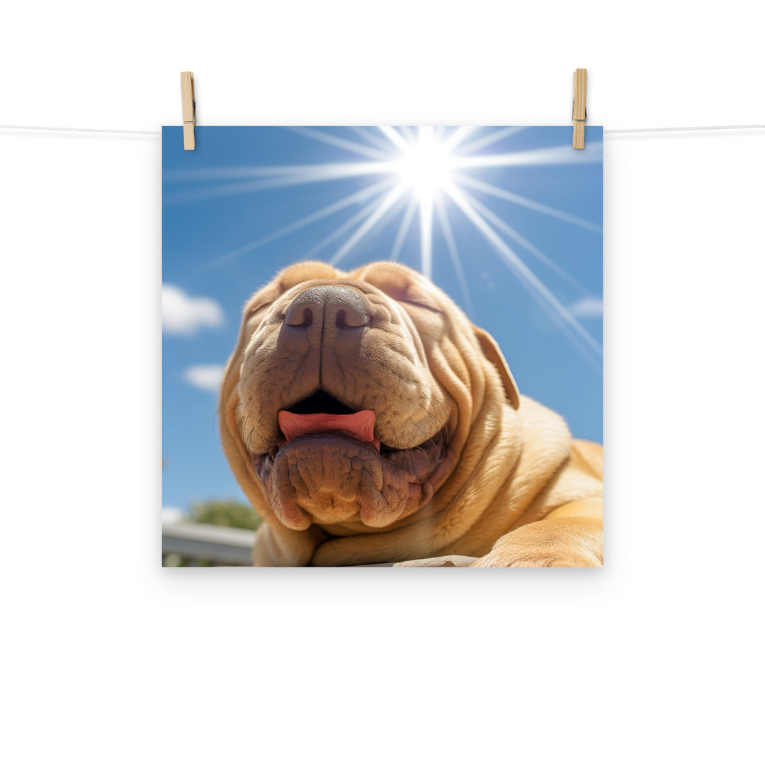 Shar Pei Photo paper poster - PosterfyAI.com