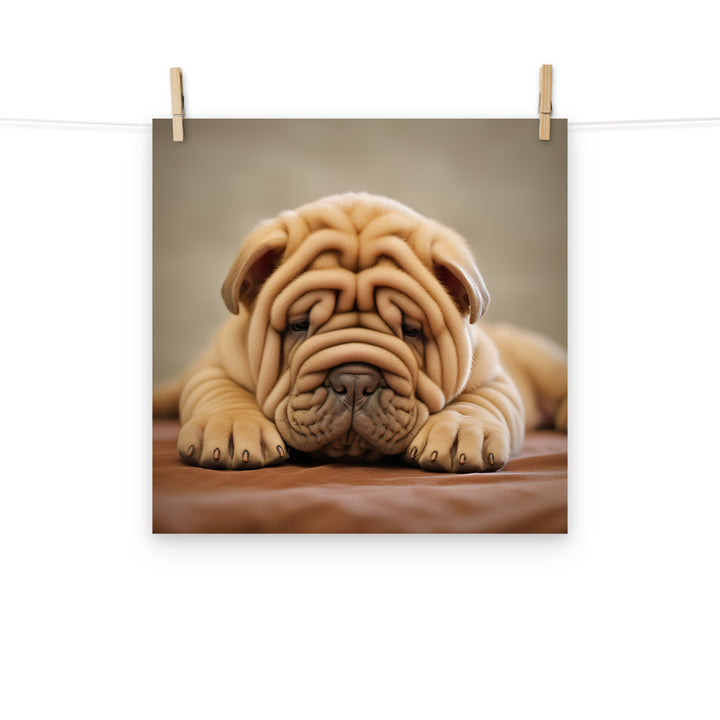 Shar Pei Photo paper poster - PosterfyAI.com