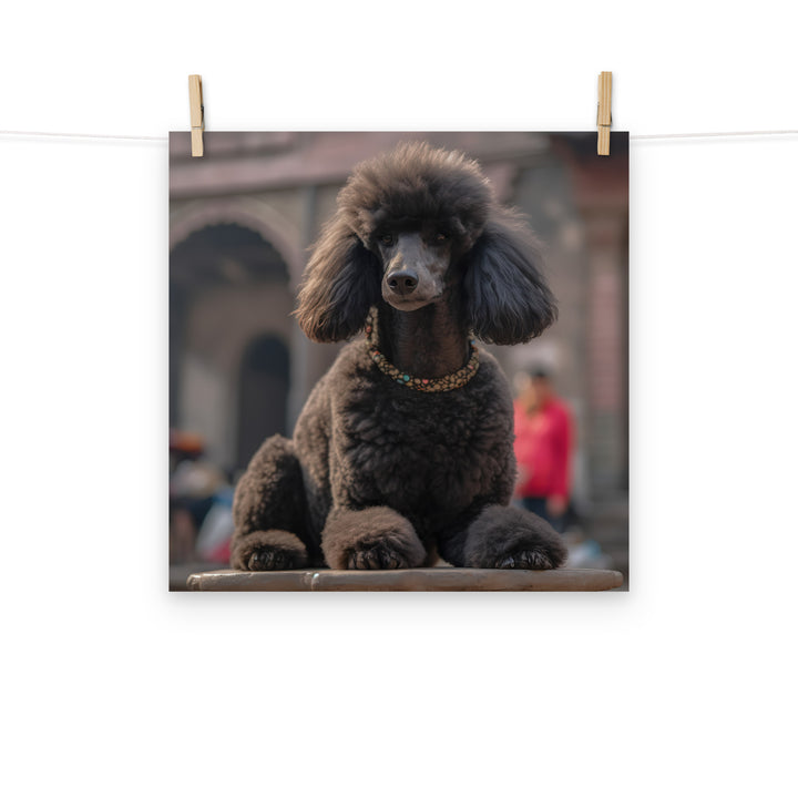 Poodle Photo paper poster - PosterfyAI.com