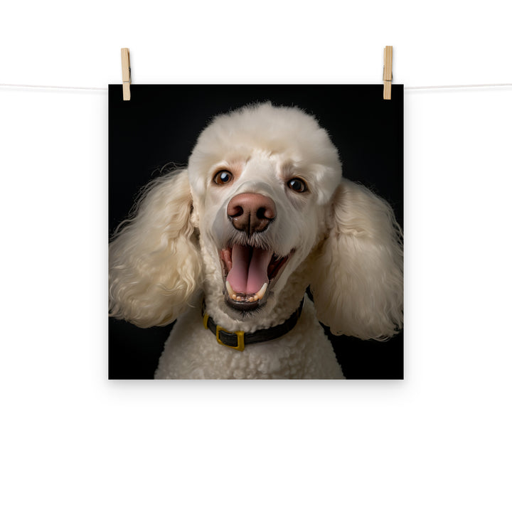 Poodle Photo paper poster - PosterfyAI.com