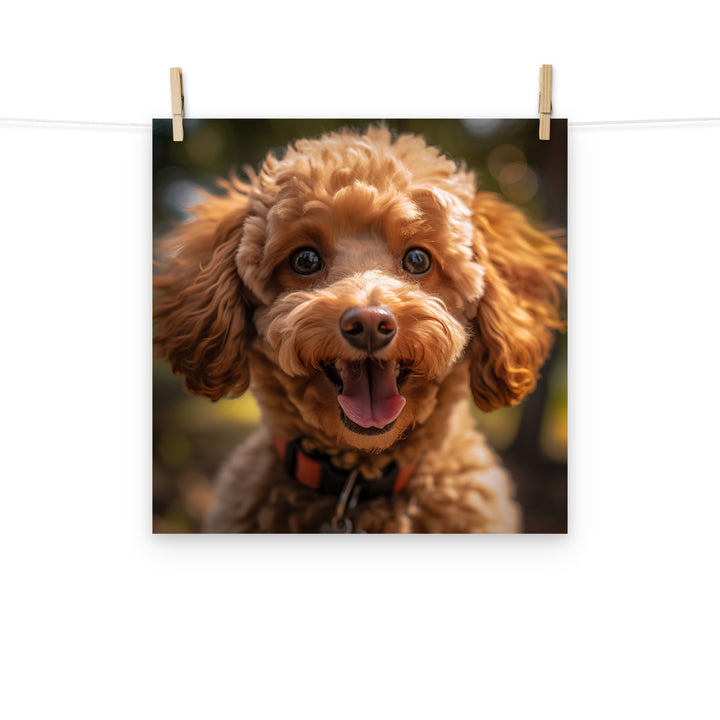 Poodle Photo paper poster - PosterfyAI.com