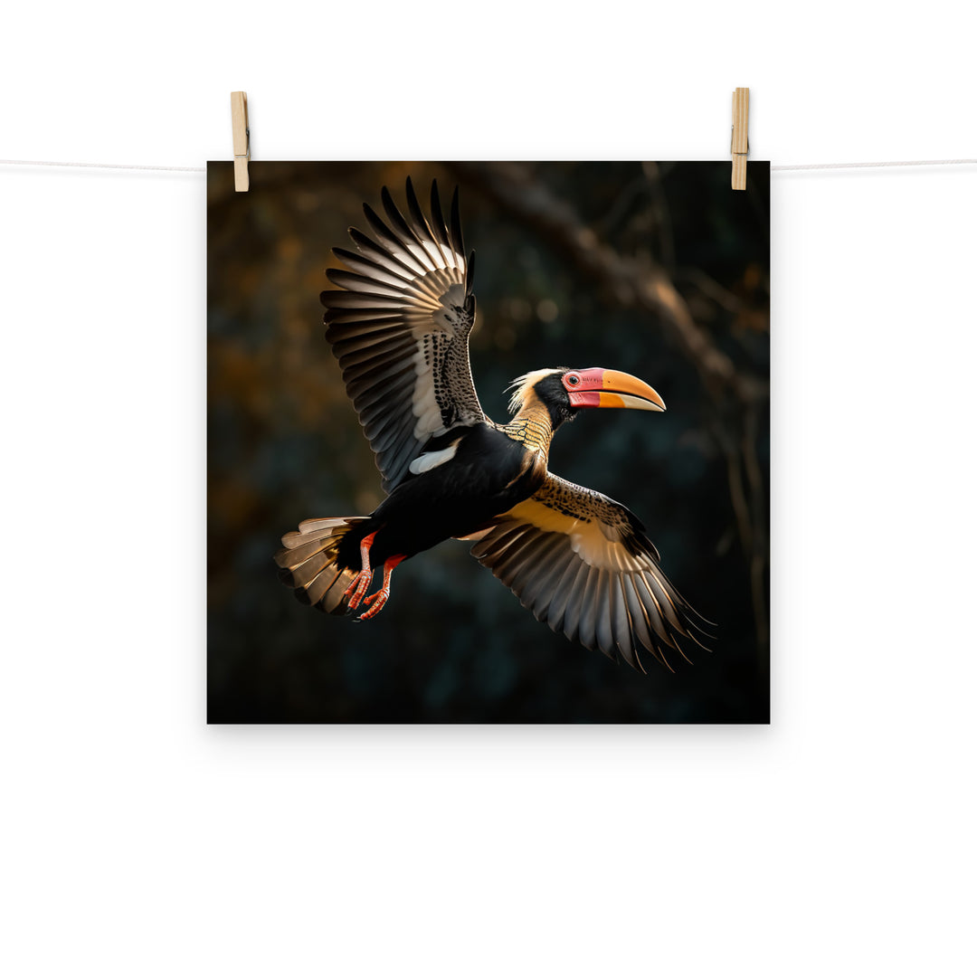 Hornbill Photo paper poster - PosterfyAI.com