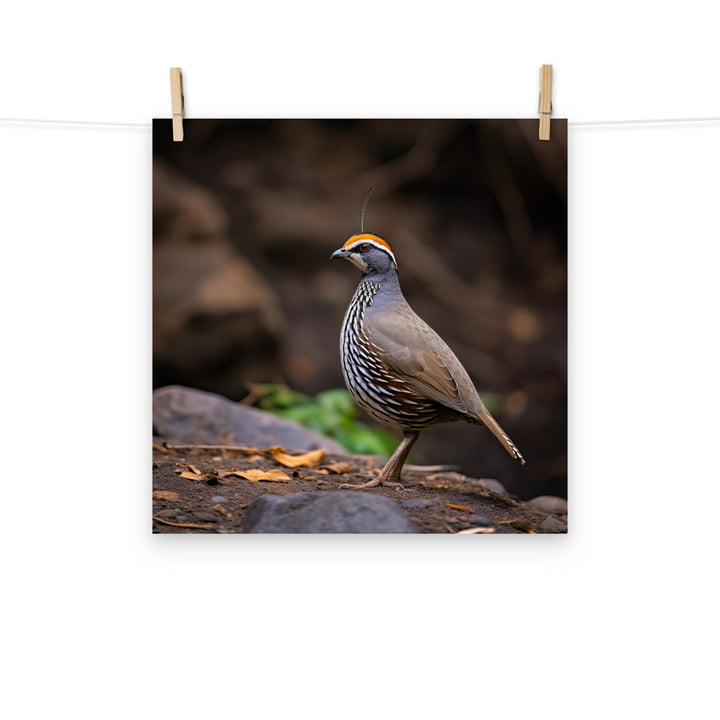 Quail Photo paper poster - PosterfyAI.com