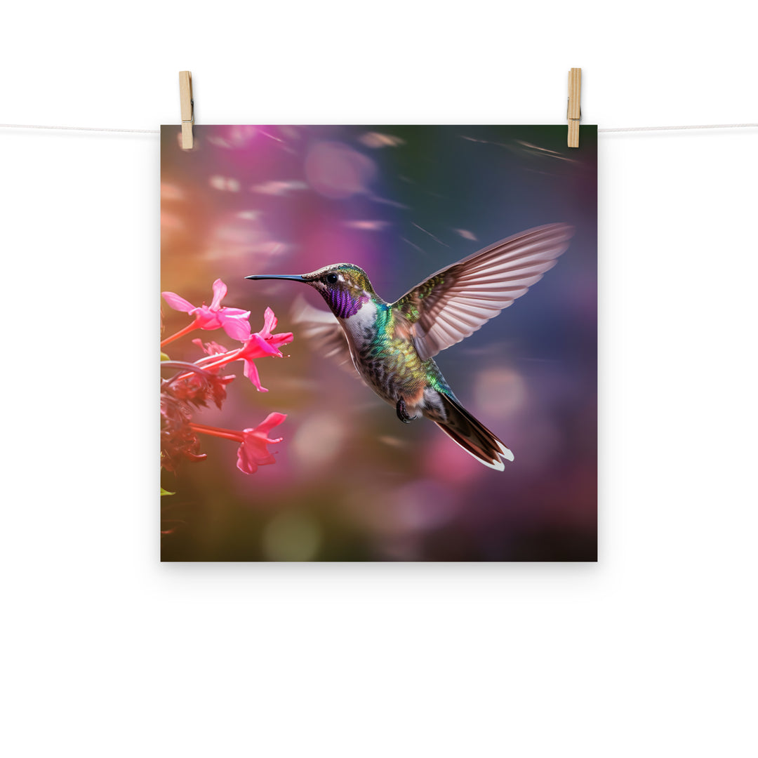 Hummingbird Photo paper poster - PosterfyAI.com