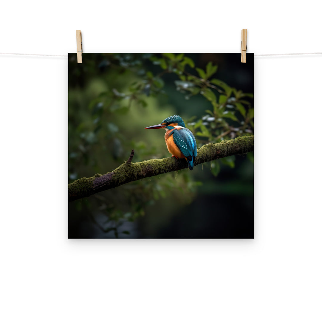 Kingfisher Photo paper poster - PosterfyAI.com