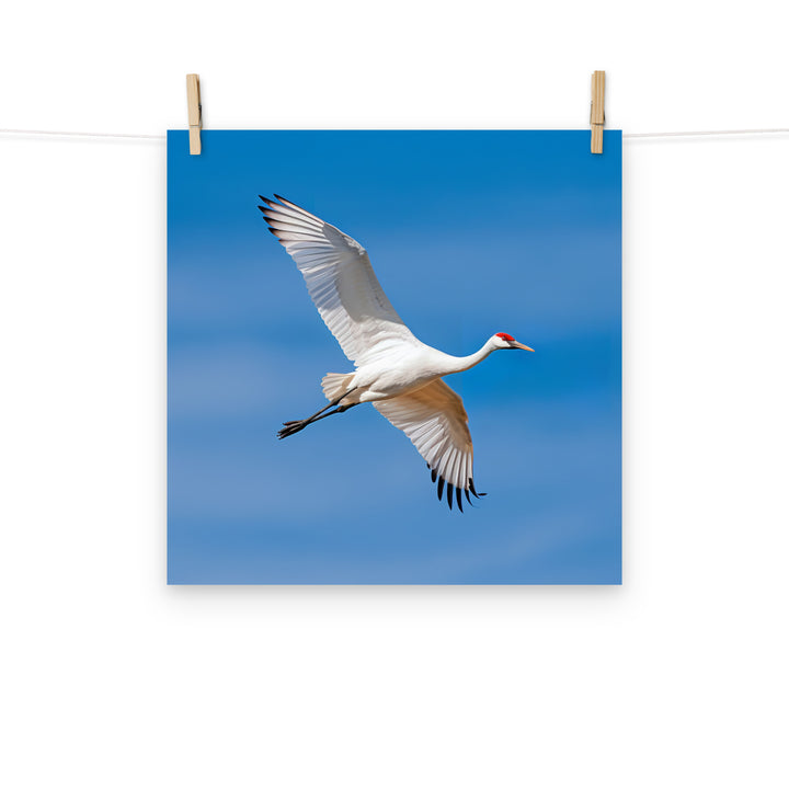 Crane Photo paper poster - PosterfyAI.com