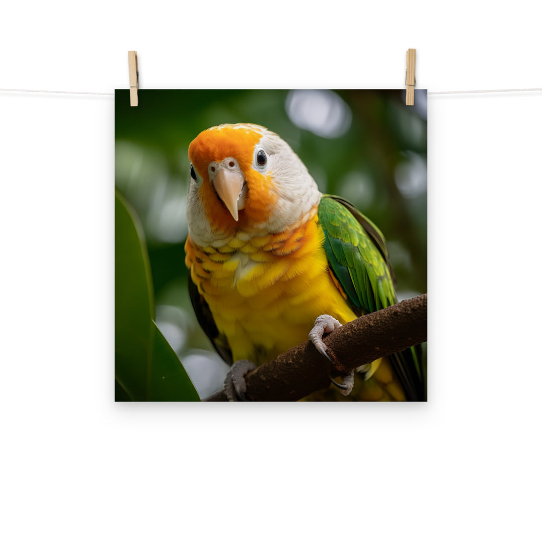 Caique Photo paper poster - PosterfyAI.com