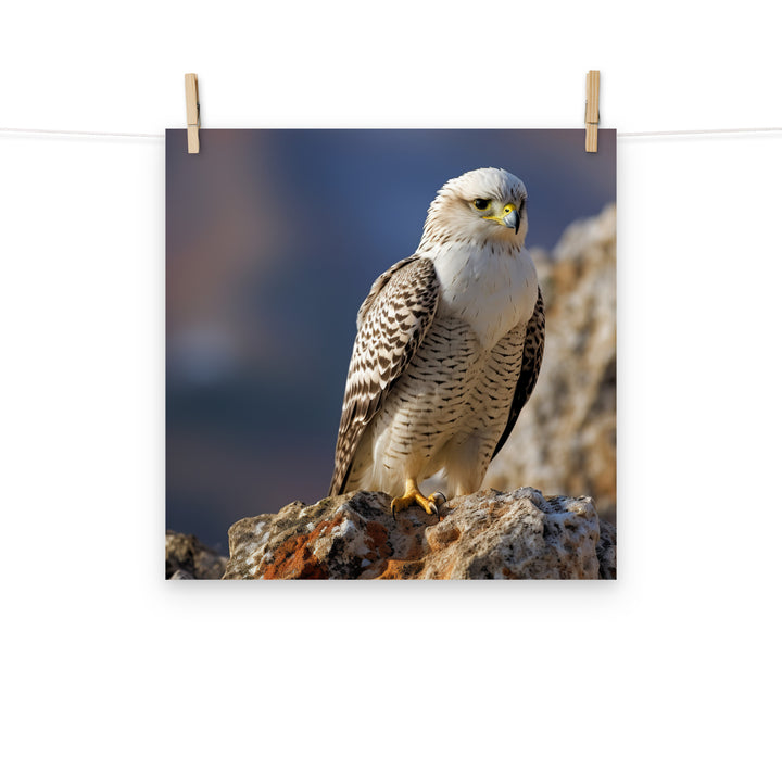 Gyrfalcon Photo paper poster - PosterfyAI.com