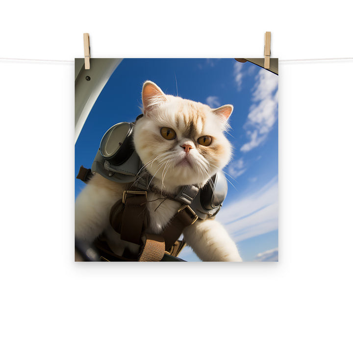 Exotic Shorthair Pilot Photo paper poster - PosterfyAI.com