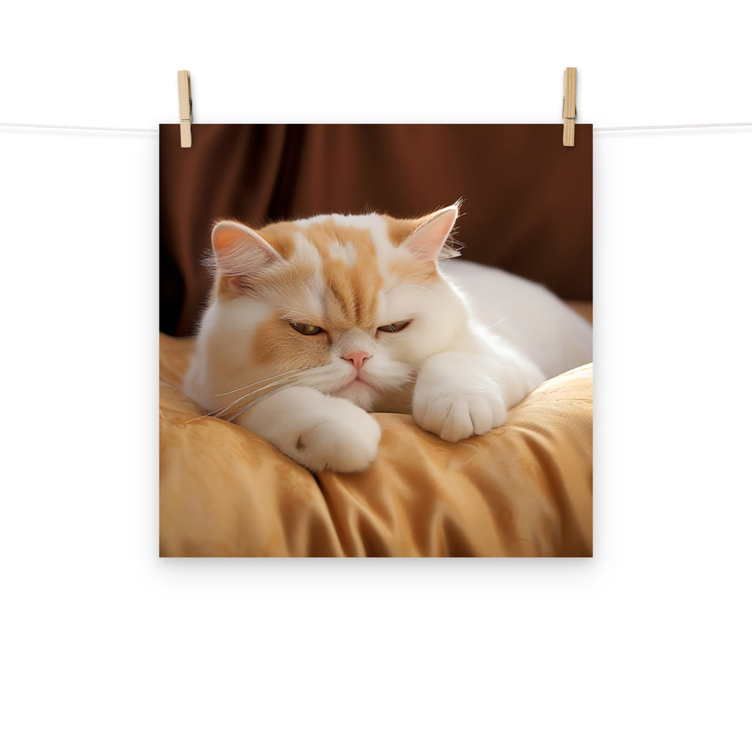 Exotic Shorthair Photo paper poster - PosterfyAI.com