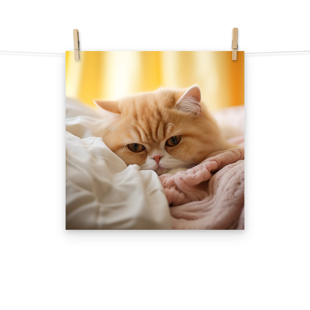 Exotic Shorthair Photo paper poster - PosterfyAI.com