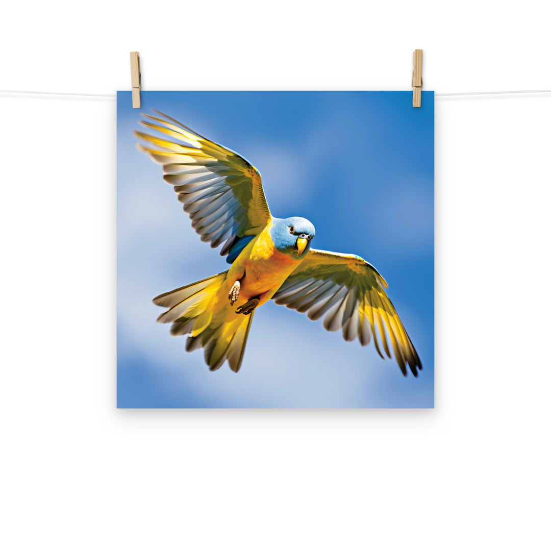 Parakeet Photo paper poster - PosterfyAI.com