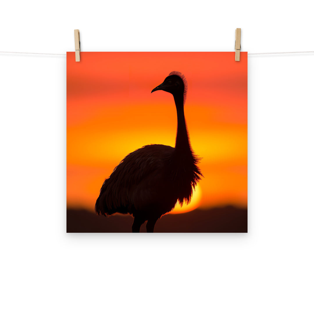 Emu Photo paper poster - PosterfyAI.com