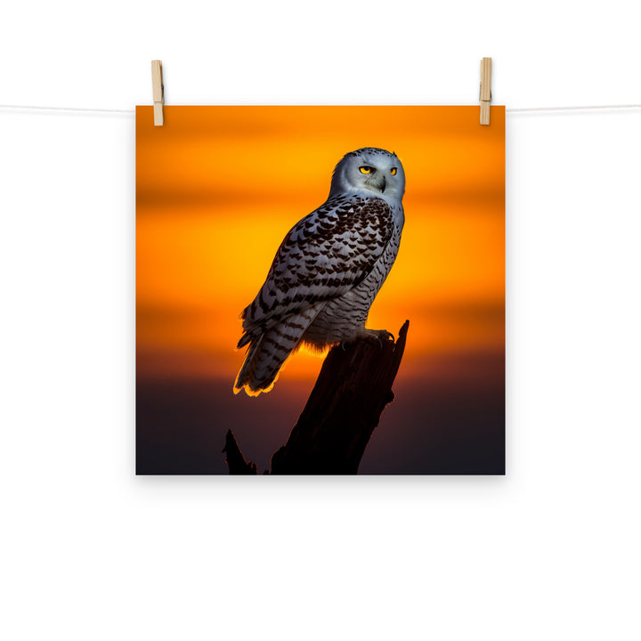 Owl Photo paper poster - PosterfyAI.com