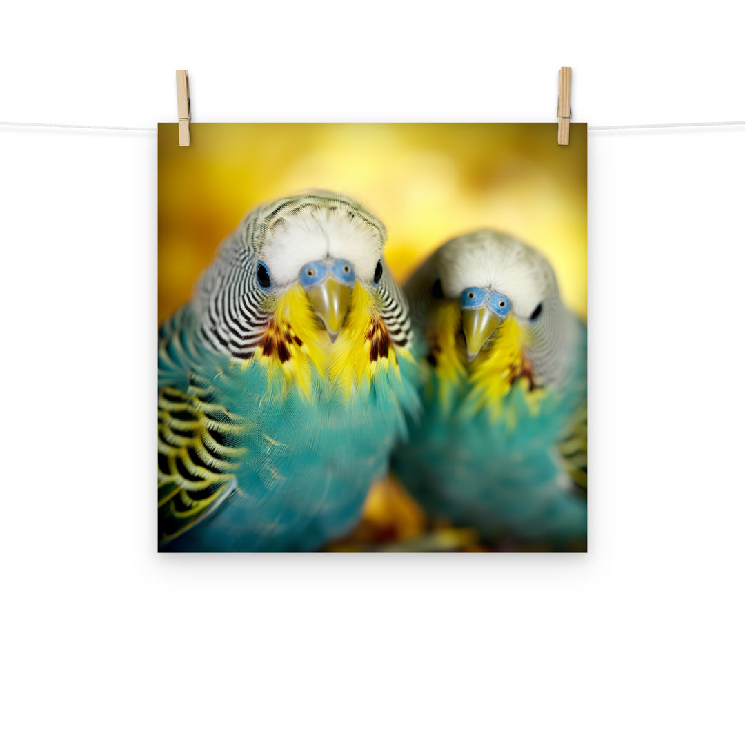 Budgerigar Photo paper poster - PosterfyAI.com