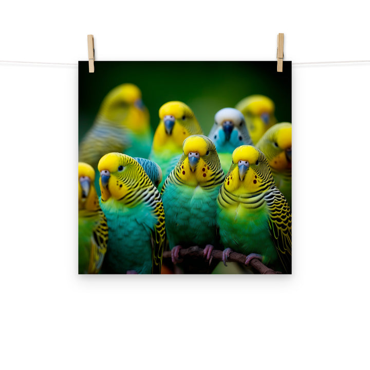 Budgerigar Photo paper poster - PosterfyAI.com